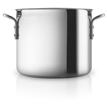 Load image into Gallery viewer, Eva Solo Stainless Steel Pot with Ceramic Coating
