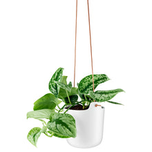 Load image into Gallery viewer, Hanging Self-Watering Planters

