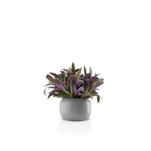Load image into Gallery viewer, Stone Flowerpot
