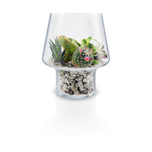 Load image into Gallery viewer, Succulent Glass Vase
