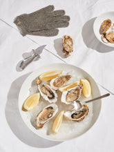 Load image into Gallery viewer, Pott Oyster Glove