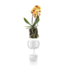 Load image into Gallery viewer, Self-Watering Orchid Pot - Clear Top - 15cm Diameter
