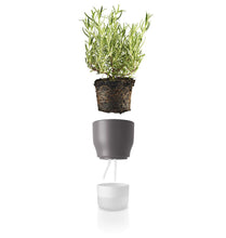 Load image into Gallery viewer, Self-Watering Planter - 11cm Nordic Grey
