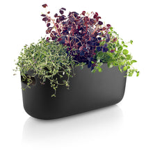 Load image into Gallery viewer, Self-Watering Herb Organizer - Black Ceramic
