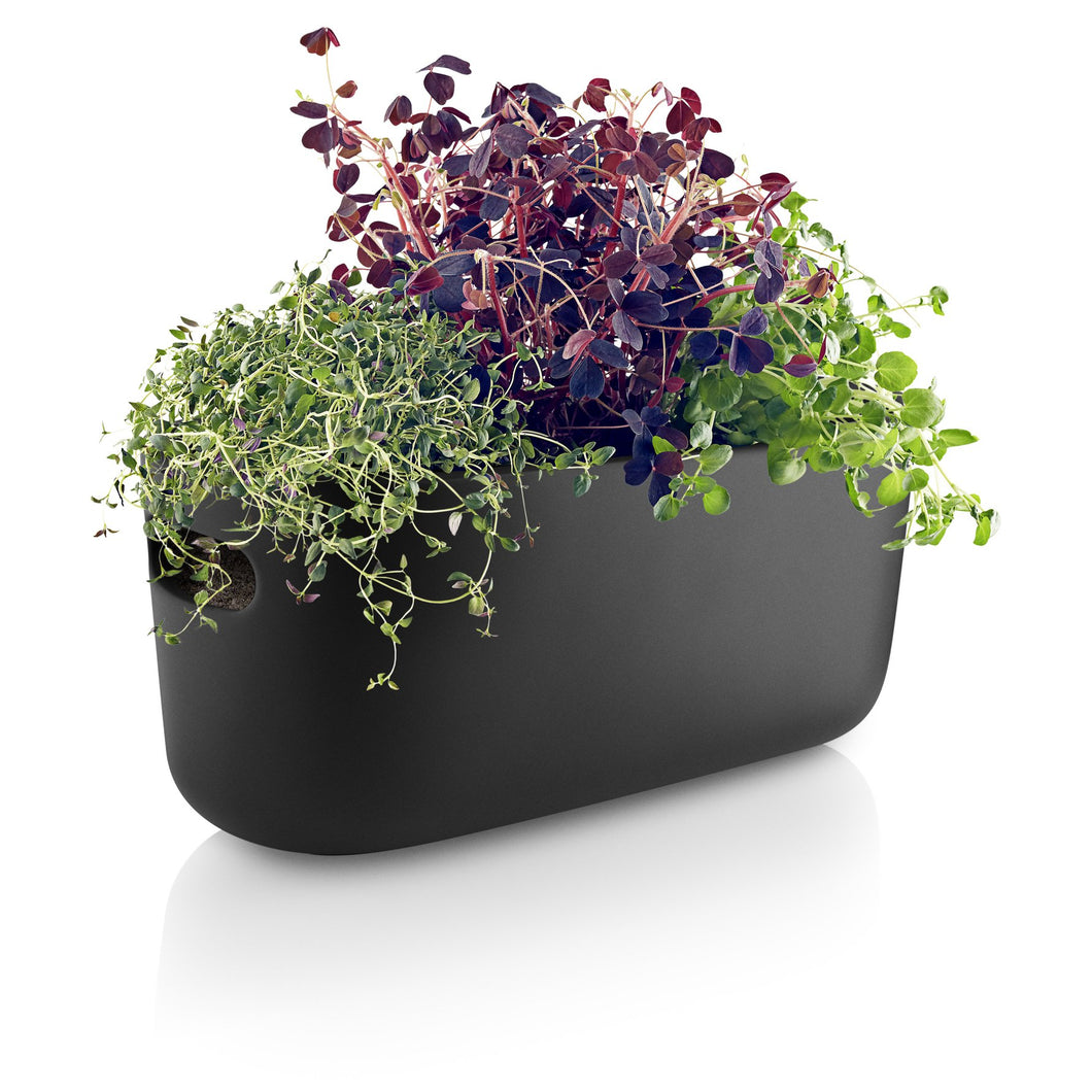 Self-Watering Herb Organizer - Black Ceramic