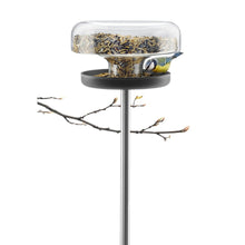 Load image into Gallery viewer, Bird Table Feeder
