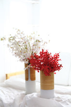 Load image into Gallery viewer, Transit Vases

