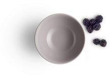 Load image into Gallery viewer, Eva Trio Legio Grey Porcelain Bowl, 0.4L
